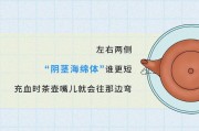 丁丁学习通(丁丁教育app下载)