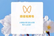 微信视频号点赞业务下单(微信视频号点赞马上点马上生成吗)