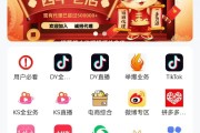 抖音快手点赞网站(抖音快手点赞能挣钱吗)