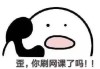 刷网课的(刷网课的网址是什么)