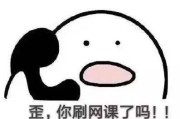 刷网课的(刷网课的网址是什么)
