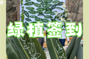 包含学习通签到方式的词条