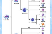 医学免疫学学习通题库(医学免疫学题库及答案分章节)