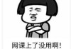 什么叫网课刷课(刷网课是什么原理)