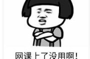 什么叫网课刷课(刷网课是什么原理)