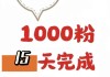 涨粉丝1元100个(涨粉丝1000个粉丝)