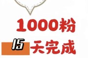 涨粉丝1元100个(涨粉丝1000个粉丝)