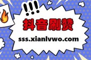 快手买100个赞秒到(快手买100个赞秒到账多少钱)