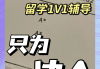 留学生远程刷网课(留学生网课用什么app)