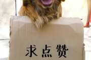 买点赞(买点赞自动下单24小2元是真的吗)