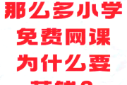 随行课堂网课刷课(随行课堂刷课会被发现吗)