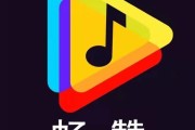 抖音作品点赞网站平台(抖音点赞的平台叫什么平台)