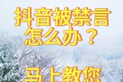 听网课不能刷抖音怎么办(听网课不能刷抖音怎么办呢)