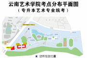 云南艺术学院没刷网课(云南艺术学院可以不住校吗)