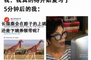 智慧树刷课刷出不良记录(智慧树刷网课被检测到了会怎么办啊)