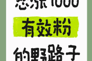 如何快速涨粉1000(如何快速涨粉1000粉)